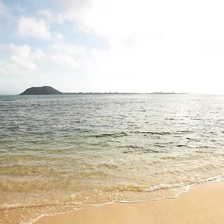Pura Vida * Коральео